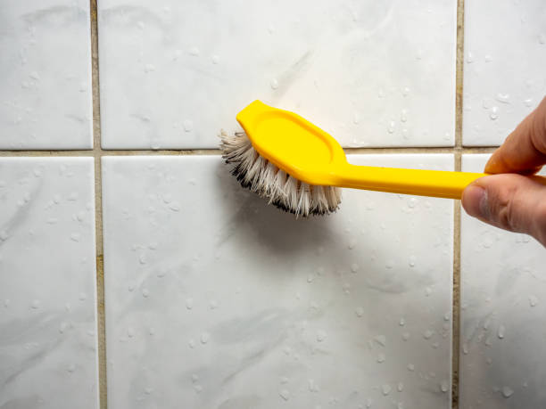 Best Black Mold Remediation in Chesapeake Ranch Estates, MD